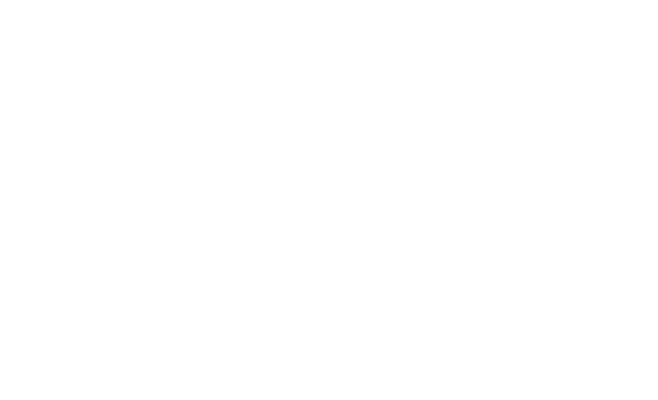 DPF-Reinigung maschinell mit Kontrolle und Garantie